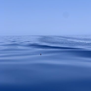 gallery_solaro_charter_mare_sea_calabria